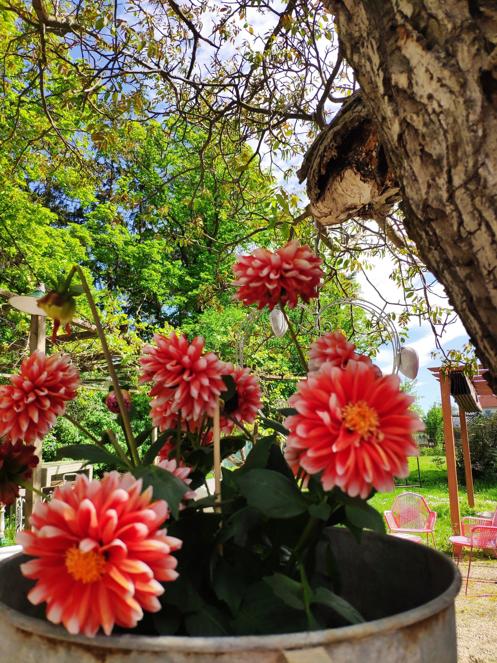 Garten der Helene